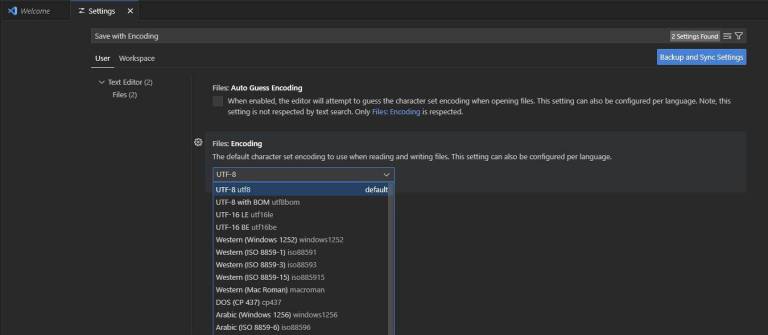 Vcode Save with encoding