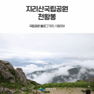 [지리산국립공원] 지리산 천왕봉 최단 코스 여름산행