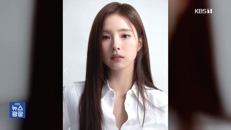 악플러 징역 과정