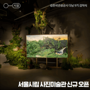 서울 여름 실내 놀거리 서울시립 사진미술관 후기