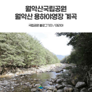 [월악산국립공원] 월악산 용하야영장 계곡