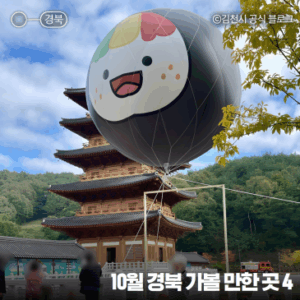 10월 경북 김천 칠곡 가볼만한곳 김천김밥축제, 꿀벌인, 낙화담캠핑장, 학수고대