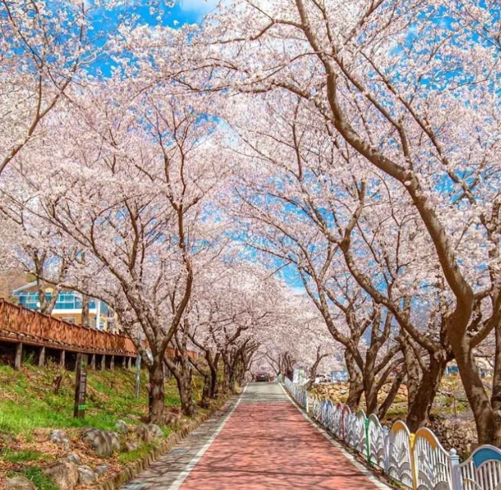 경남 하동 가볼만한곳 TOP7 벚꽃 축제 금오…