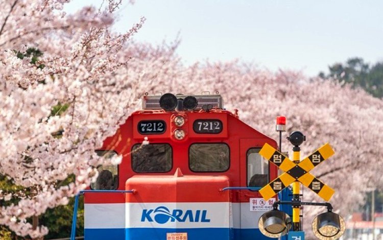 진해군항제 포토존 강화역 철길