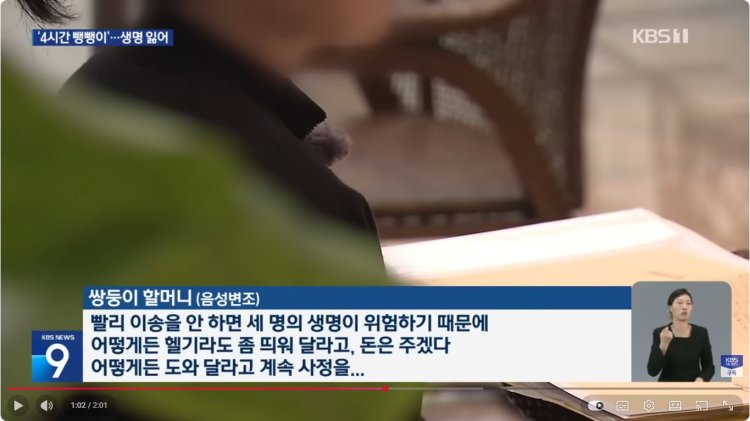 대구 쌍둥이
