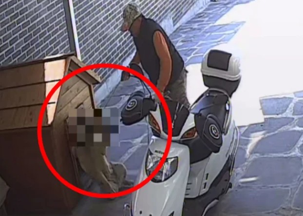 개장수가 우리집 반려견 몰래 끌고가 도살