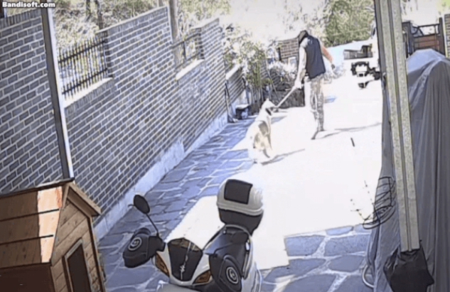 개장수 절도죄와 주거침입 및 재물손괴