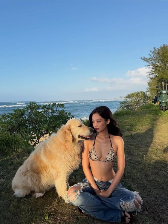 호피무늬 제니 비키니 릴스 챌린지 인기