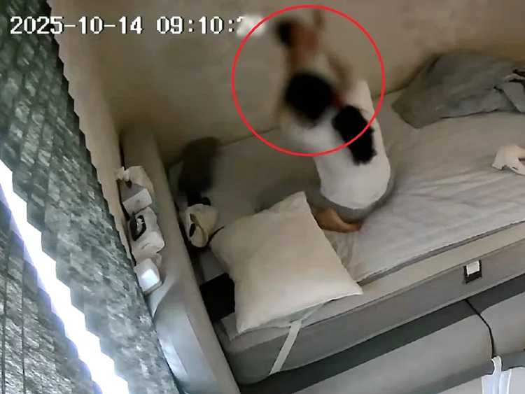 여수 해든이 학대 하는 친모 CCTV