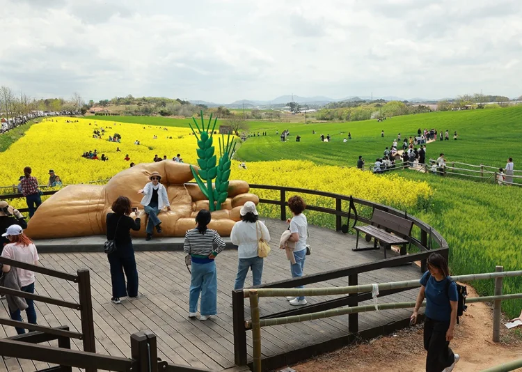 2026 고창 청보리밭 축제 포토존