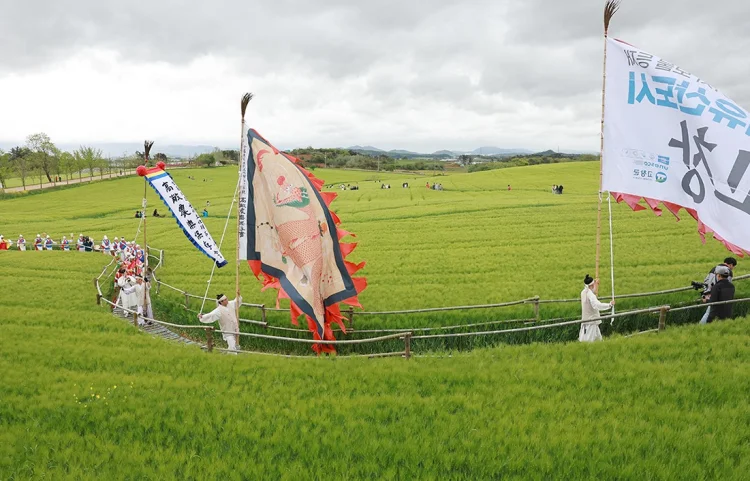 2026 고창 청보리밭 축제 맛집