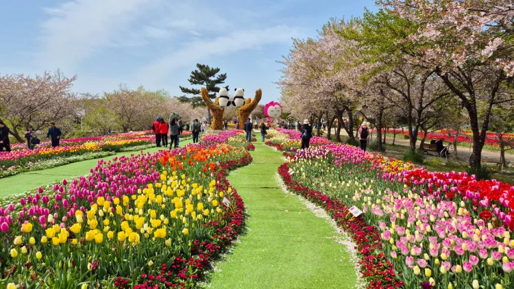 2026 태안 세계튤립꽃박람회