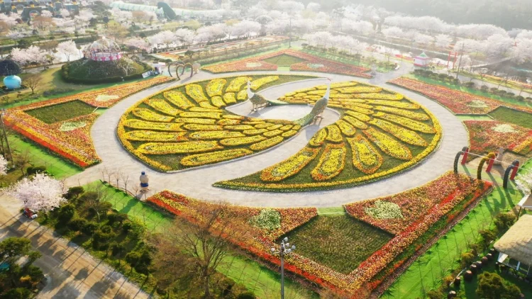 태안 튤립축제 방문 꿀팁